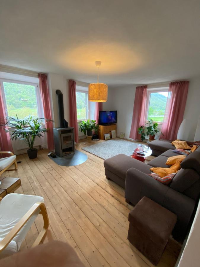 Helles, Gemuetliches Haus Mit Moselblick Villa Mueden Luaran gambar